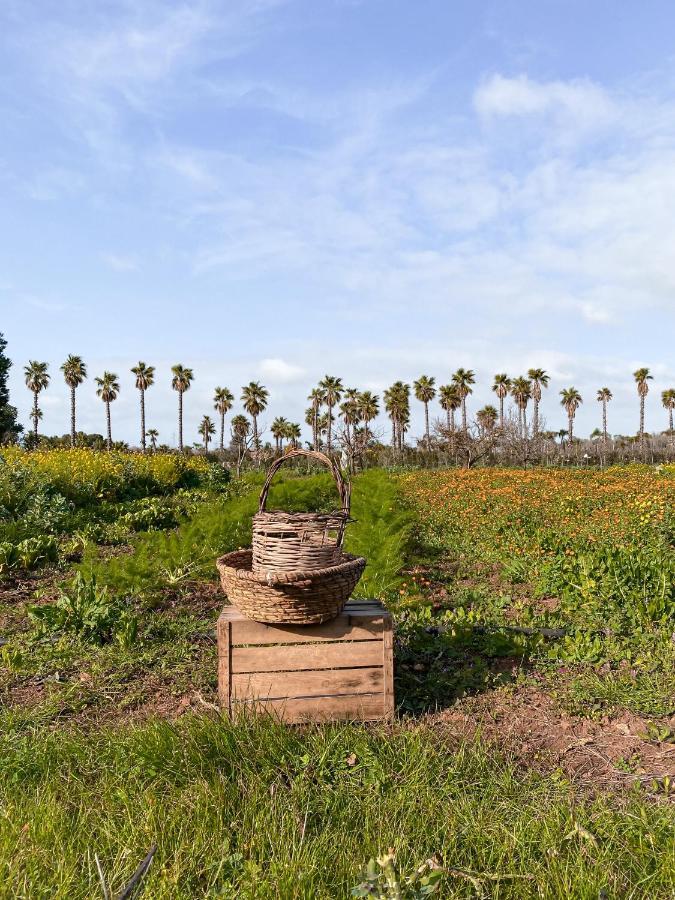 Galeta Masseria Bed & Breakfast Nardo Exterior photo